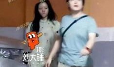 刘大锤最新爆料张晚意任敏,张晚意与任敏携手合作，新剧备受期待