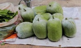 四川免费吃瓜的地方,四川免费吃瓜胜地大盘点