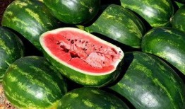 吃瓜云南视频大全免费观看,免费观看吃瓜视频大全