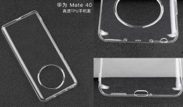 野生麒麟爆料大全最新版,野生麒麟爆料大全最新版深度解析