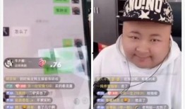 热点爆料辛巴视频,揭秘背后惊人真相！