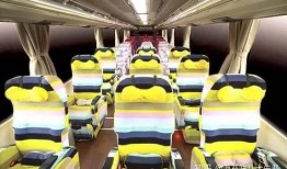 搭乘深夜巴士在线观看,在线观看的惊心动魄夜行记