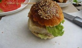 汉堡肉饼爆料视频大全集,视频大全集深度解析