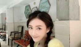 苏晨前女友爆料视频,揭秘昔日恋情背后的真相