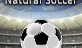 足球爆料如何赚钱最快视频,揭秘最快赚钱视频攻略