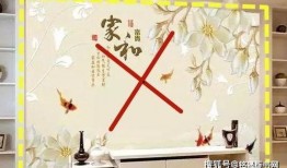 青年水门8号爆料视频大全,独家爆料视频大全深度解析