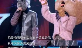 娱乐圈爆料客大佬,揭秘明星幕后故事，独家爆料一网打尽