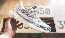 国外球鞋爆料视频下载网站,海量球鞋资讯一手掌握