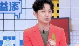 主持人何炅爆料魏大勋视频,揭秘明星幕后趣事