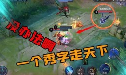 王者老鸟爆料视频大全最新,揭秘游戏幕后精彩瞬间