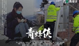 青蜂侠新闻视频爆料,独家视频爆料揭秘幕后秘密！