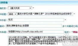 新闻爆料投稿平台邮箱怎么填,邮箱填写攻略，助力你成为信息先锋