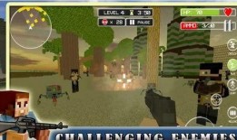 生存游戏 在线观看,在线观看，揭秘绝境求生背后的真实挑战