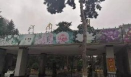 吉林公园爆料视频最新,揭秘公园背后的惊人真相