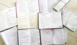 王岩日记爆料视频,揭秘背后惊人真相