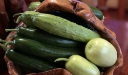 网红有什么瓜吃,揭秘那些你不知道的幕后故事与八卦传闻