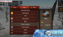 生存游戏 在线观看,在线观看，揭秘绝境求生背后的真实挑战