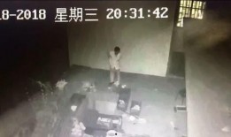 大盗爆料视频大全最新,视频大全背后的惊心动魄故事