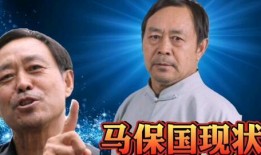 裁判爆料马保国视频,裁判揭秘实战真相