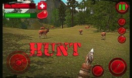 生存游戏 在线观看,在线观看，揭秘绝境求生背后的真实挑战