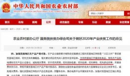 最新橙皮爆料网站大全,揭秘最新资讯与热门话题汇总