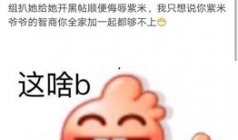 网红吃瓜泄密反差,反差萌背后的真实故事