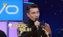 主持人何炅爆料魏大勋视频,揭秘明星幕后趣事