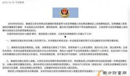 固安翟氏爆料事件最新,揭秘背后真相与网络舆论风暴