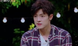 圈内小料爆料付辛博视频,圈内小料揭秘不为人知的幕后故事