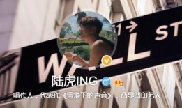 陆虎爆料音乐圈内幕,陆虎曝惊人内幕，行业真相令人咋舌