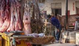 浙江乞丐爆料视频,揭开城市角落的生存真相