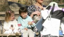 爆料娱乐圈谁有孩子,揭秘哪些明星家庭喜添新成员