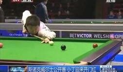 台球爆料最新视频,最新视频揭秘高手对决精彩瞬间