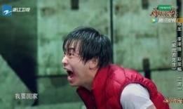 章子怡爆料黄磊视频在线观看,揭秘娱乐圈背后的故事