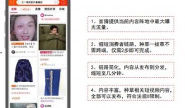 视频爆料计划,幕后真相与影响深度解析