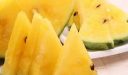 网红瓜去哪里吃最好看,揭秘最佳观赏美食美景的绝佳去处