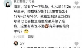 娱乐吃瓜君和七七铲屎官,揭秘娱乐圈与宠物界的趣味故事