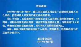 廉江公安局爆料案件最新,揭秘背后惊人内幕