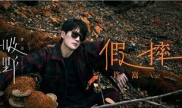 许嵩网友爆料视频大全集,揭秘音乐才子背后的故事