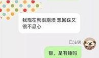 爆料视频怎么投稿的啊,如何根据爆料视频成功投稿