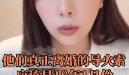 汪导前女友爆料视频大全,揭秘娱乐圈背后的真相