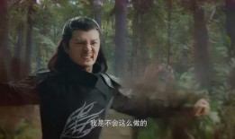 度度王爵在线观看,在线观看，揭开神秘王爵的奇幻之旅