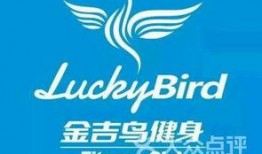 金吉鸟最新爆料图片高清,惊艳瞬间尽收眼底