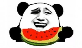 娱乐吃瓜君和七七铲屎官,揭秘娱乐圈与宠物界的趣味故事