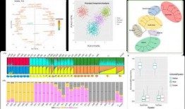 崇义爆料走丢事件视频,视频还原惊心动魄寻人过程