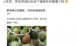 吃瓜网红的网站有哪些呢,揭秘各大网站瓜田