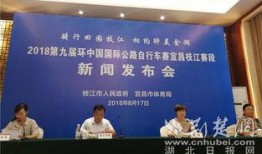 枝江新闻爆料事件,揭开背后真相