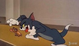 范哥爆料老鼠视频大全,老鼠视频大全惊悚瞬间大汇总