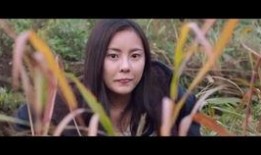 日韩伦理影片在线观看视频,窥探人性深处的情感纠葛