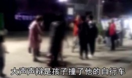 信阳爆料女子死亡事件最新,悲剧背后真相调查与反思